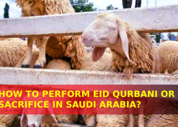 procedure to perform eid Qurbani
