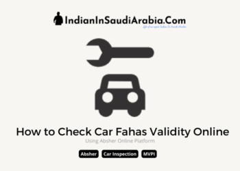 mvpi validity absher