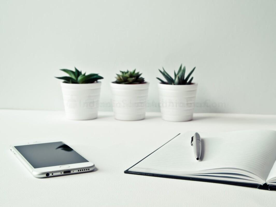 three white ceramic pots with green leaf plants near open notebook with click pen on top