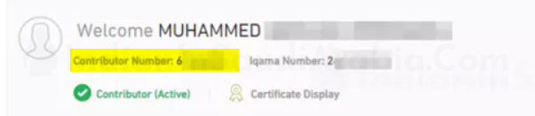 GOSI Registration number